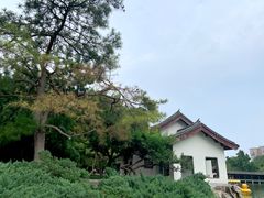 -团结湖公园