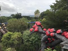 -东芭乐园