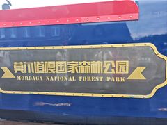 -莫尔道嘎国家森林公园