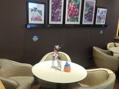 -哈根达斯(石家庄北国店)