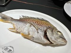 五笋鱼饭-吴记富苑(朝阳店)