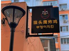 -猫头鹰炸鸡