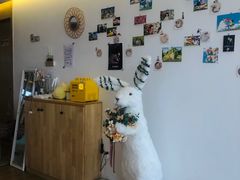 -猫腻·猫咖·撸猫馆(星光大道店)
