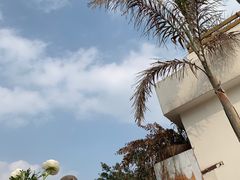 -悦哉·派对·草坪婚礼·围炉煮茶(三圣乡店)