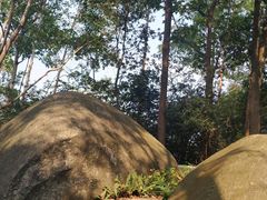 -火炉山森林公园