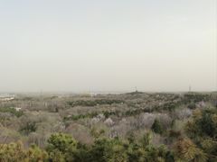 -青龙湖公园