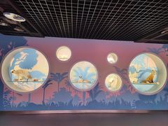 -陕西自然博物馆