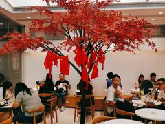 -艾薯夫妇Aysh(福田星河COCOPark店)