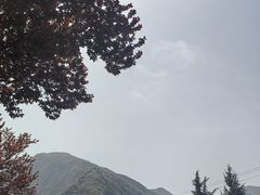 -少华山国家森林公园