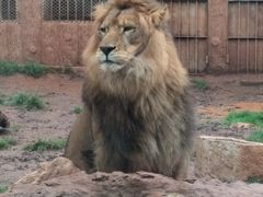 -昆明动物园