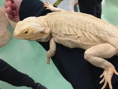 -藦茜花园宠物主题亲子互动体验馆(国顺东路店)