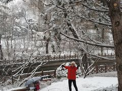 -迎泽公园