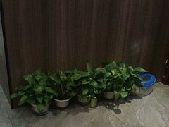-怡心阁·水疗SPA(天府广场店)