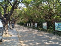 -大湾区中央湿地公园