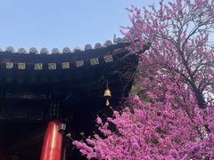 -西安市广仁寺