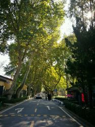 点击看大图 -YUEYAR PHOTO摄影