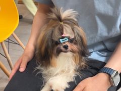 -帕帕拉兹宠物(亚洲旗舰店)