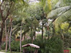 -三亚湾海居铂尔曼度假酒店