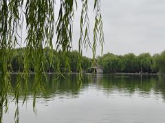 -洛阳市隋唐城遗址植物园