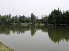 -秀丽东方