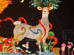 -琅岐红光湖公园