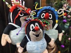 -布拉格餐厅· 中欧捷克菜(全国首店)