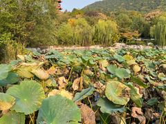 -云龙湖旅游景区
