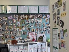 -爱妮康宠物医院·干细胞免疫细胞·肿瘤·心脏(张江店)