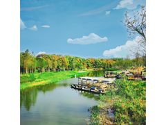 -上海长兴岛郊野公园