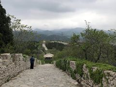 -原山国家森林公园