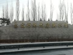 -永定河休闲森林公园