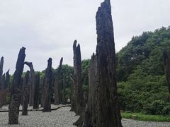 -金沙遗址博物馆