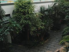 -滕头生态酒店(奉化店)