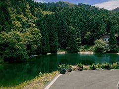 -武陵山森林公园