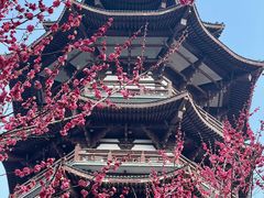 -洋湖国家湿地公园