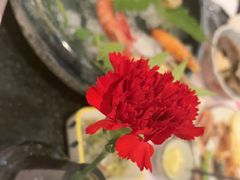 -桃夭日式料理(国信店)