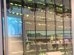 -大董(环贸iapm店)