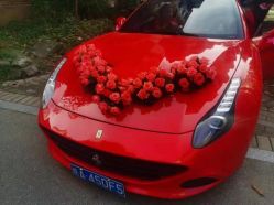 -蚂蚁婚车