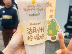 -猫的魔法密林(衣裳街店)