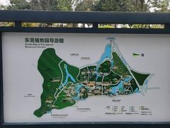 -东莞植物园