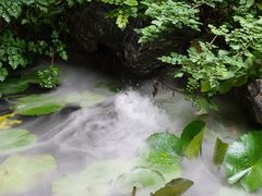 -绣园·茶食宴(湘绣博物馆店)