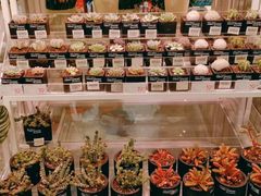-KKV(天津津南吾悦广场店)