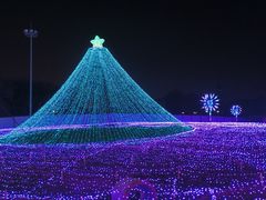 -国际非物质文化遗产博览园