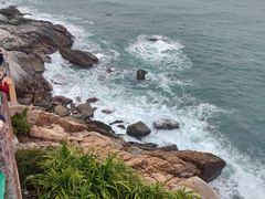 -广东惠东海龟国家级自然保护区