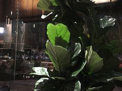 -锦城印象火锅(天府三街店)