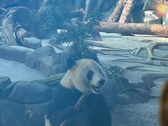 -武汉动物园