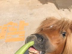 -南京金牛湖风景区