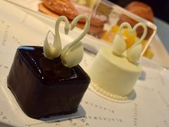 -BLACKSWAN黑天鹅(环球店)