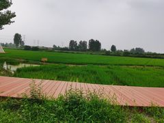 -林间山庄