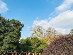 -浙江省博物馆(孤山馆区)
